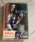 Busta Rhymes - when disaster strikes