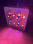 Lampa do roślin czerwono-niebieska