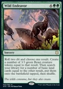 Wild Endeavor (AFC)