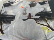 Zestaw poszewek na poduszki i jasiek :  Cotton .magnolie,róże