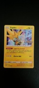 Pokemon Go Zapados H 29/78