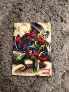 Marvel Heroes 6 2008 karta kolekcjonerska Preziosi Collection