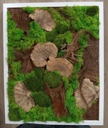 Obrazy z mchu chrobotek (52,5 cm x 42,5 cm)