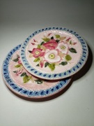 Talerze Steidl Znaim Austro-Węgry 21cm maiolica secesja ręcznie malowane