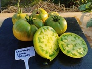 CHEROKEE LIME STRIPES nasiona Pomidor Kolekcjonerski