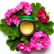 Maść geraniowa z pelargonii 40 ml –  pomoc w bólu i stanach zapalnych