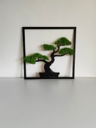 Drzewko bonsai, życia. Drzewo mech 40x40 kwadrat. 