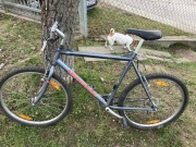 Rower mongoose używany