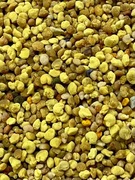 Pyłek pszczeli 500g - naturalny, suszony, polski produkt