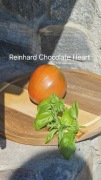 Pomidor Reinhard Chocolate Heart. Wczesny, dymny slodki smak. 