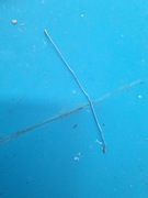 Kabel Antena HTC 825