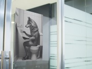 Plakat płyta PCV do łazienki – Wilk w toalecie – Śmieszna dekoracja A4 A3