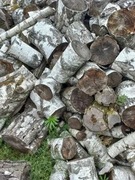 Drewno kominkowe opałowe kominka brzoza 15kg 60L kawałki wysyłka suche