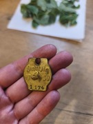 Psi numerek identyfikator Danzig 1939 rok