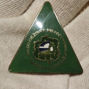 Odznaka PTTK TP Młodzieżowy Przodownik Turystyki Pieszej - zielona piecowa 