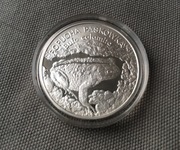 Moneta 20 zł - Ropucha paskówka - 1998 rok