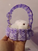 Koszyczek z zającem