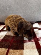 Maskotka Brązowy Żubr