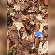 Kora sosnowa Poj 80l