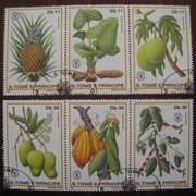 Flora owoce Wyspy św. Tomasza 1981 rok