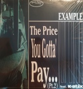 Example The Price You Gotta' Pay... single winyl