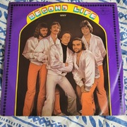 Second Life - Why płyta winylowa