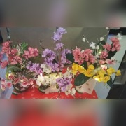 Stroik podświetlany