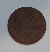 Moneta 5 groszy - 1949 rok