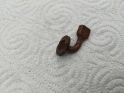 Bezpiecznik . G43 - K43 - WH. 