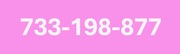 733-198-877   ZŁOTY NUMER STARTER PLAY NA KARTĘ PREPAID 