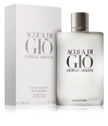 Giorgio Armani Acqua di Giò Pour Homme 100ml EDT