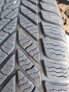 Opony zimowe Dębica Frigo2