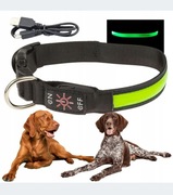 Obroża spacerowa LED ładowana na USB 