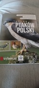 Atlas Ptaków