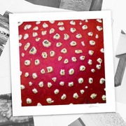 Autorska fotografia "Niejadalne" - wydruk. 