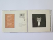 Peter Gabriel Shaking the Tree