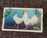 Znaczek pocztowy kura, kogut 