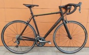 CANYON ENDURACE AL 6.0