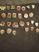 Kolekcja odznak ŚLĄSK WROCŁAW