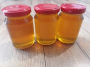 Syrop z mniszka lekarskiego mniszek lekarski 3x200ml 600ml Zestaw (Miód)