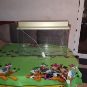 Akwarium 60x35x30 z lampą duży wybór modeli 