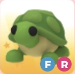 FR Turtle | Adopt Me Roblox