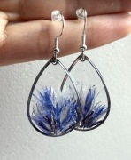 Kolczyki łezki chaber polny