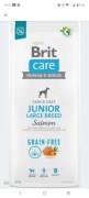Brit Care Junior Large Salmon dla szczeniąt ras dużych 12 kg