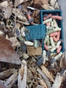 Porcellionides pruinosus powder blue isopody 10 sztuk