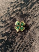 pin pinezka broszka kończyna 