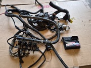 Instalacja gazowa LPG Stag 4 Q-Box Basic AC R01 wtryski Barracuda 115  2017