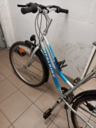 Rower damski runner italbike
