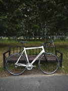 Rower szosowy DANCELLI Shimano Ultegra Rozmiar 61