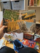 na 4 pory roku Marta Lasota